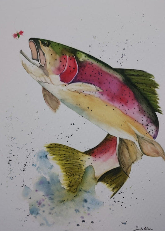 " Rainbow Magic " Rainbow Trout Watercolor Print Artist: Sarah Olsen Print from an Original Watercolor Painting  Rainbow trout going after a fly on a fly line  Choose From:  Print  16" long x 20" high print  Hand signed by the artist  Stiff cardboard backing and in a plastic sleeve for added protection  Ready for a frame  Framed 5" long x 7" high print  Printed on watercolor paper  In a slim black plastic frame