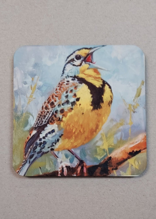 Meadowlark Coaster