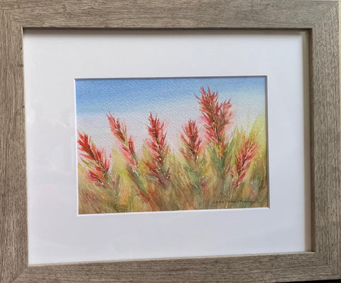 " Indian Paintbrush " Framed Original Watercolor