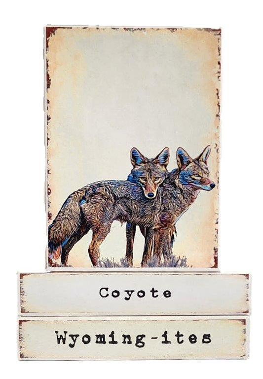 " Coyote  Wyoming-ites" Canvas Print