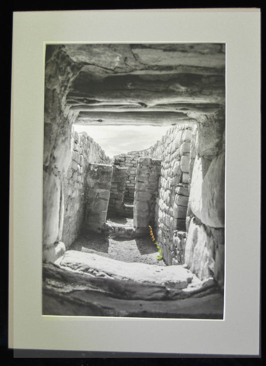 Matted photograph from Temple of the Sun in Mesa Verde National Park in Colorado  Black and white photograph of the ruins with just a hint of color in the lone flowers grown near the stones  Matted in a light gray matting  12" long x 18" high print  16" long x 22" high as matted  In a plastic sleeve and on sturdy foam board for added protection  Ready for a frame or to be displayed on an easel