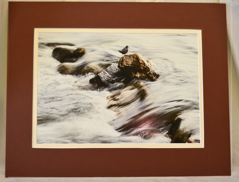" Life on the Edge " Matted Luster Print