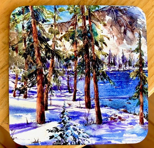 Winter Fun Coaster
