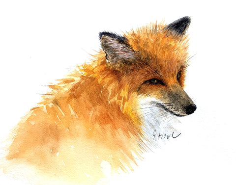 " Pretty Face " Framed Original Fox Watercolor