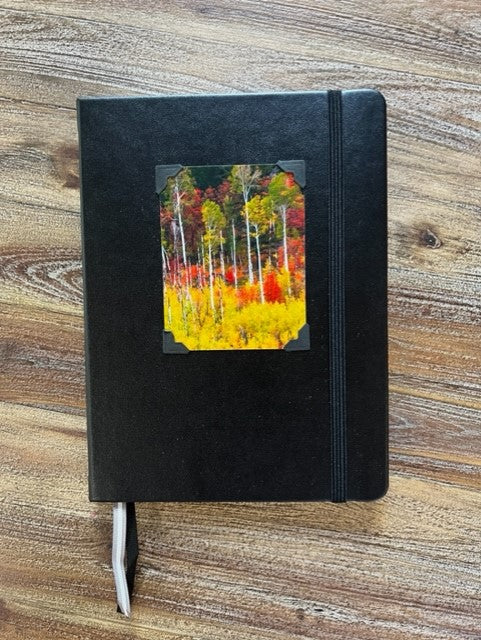 Black cover  Lined journal pages  Photograph of Aspen trees and other fall foliage attached to the cover  Black elastic strap to hold book secure  Ribbon to mark you pages  Take with you anywhere you go  6" long x 8" high x 3/4" wide