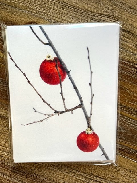 card from photography. little aspen tree branch with two red Christmas ornaments. white background. kraft paper envelope