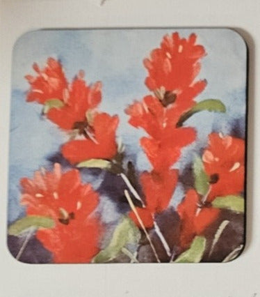 Indian Paintbrush with Blue Coaster