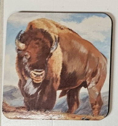 " Lord of the Plains " Coaster