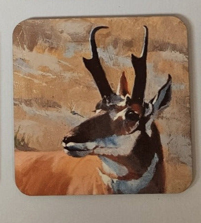 Pronghorn Head Coaster