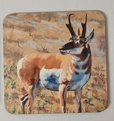 Coaster- Pronghorn Full Body