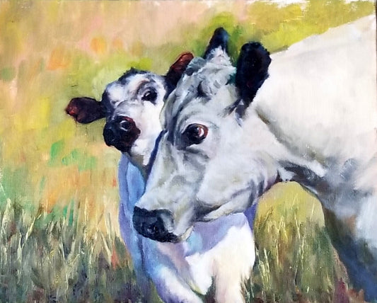 " Watch Out! " White Cow & Calf Print Artist: Renee Laegreid From an original oil painting by the artist  White calf being bumped by a white cow  Artist photograpormation on the back of the cardh and infChoose From:  Print  8" x 10" giclee print matted in an 11" x 14" black matting  Ready for a frame of your choice  Greeting Card  Blank card with envelope  5" long x 7" high