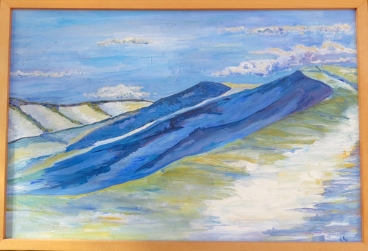 " Wild Horse Dunes " Framed Original Oil Painting