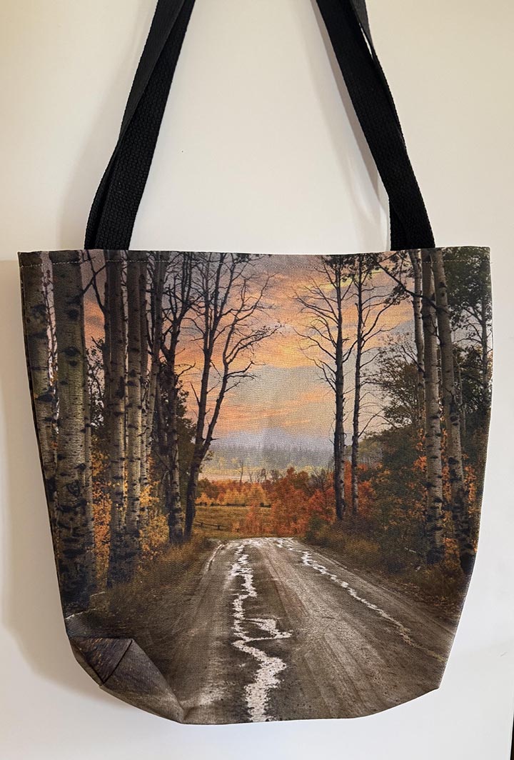 Photograph - " Tranquility " Aspen Alley