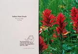 Nature photo greeting cards, variety pack of 4. Includes white envelopes and blank inside