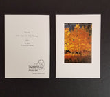 Nature Greeting Cards Variety (4 pack-4 scenes)