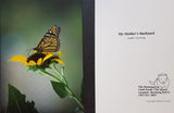 Nature Greeting Cards Variety (4 pack-4 scenes)