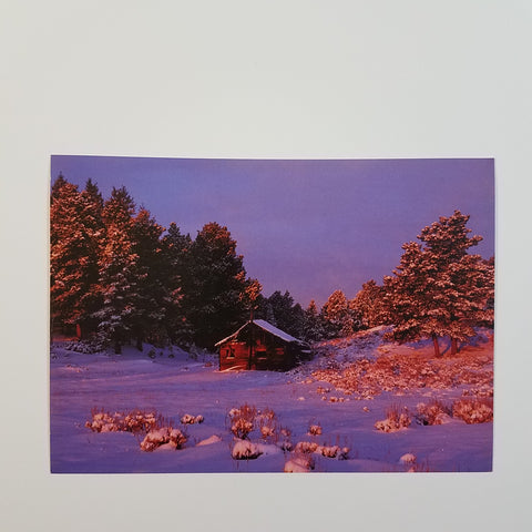 Log cabin in a meadow of snow crusted trees and sagebrush   4" x 6" blank card with envelope  Taken by the artist in Southeast Wyoming