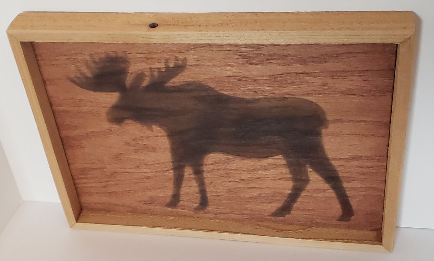 Wood Burned Moose Framed Wall Art