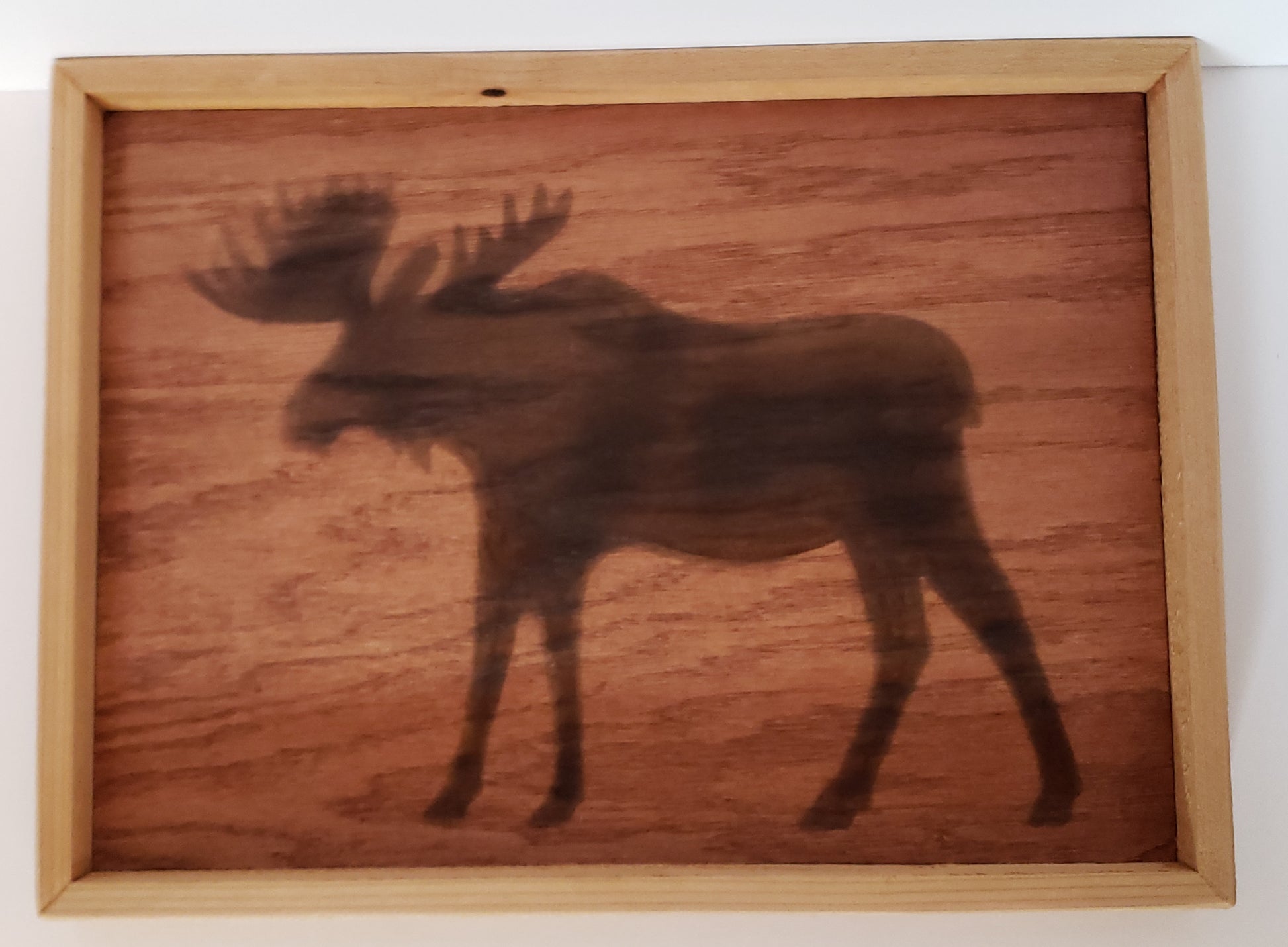 Wood Burned Moose Framed Wall Art Artist: Michael McMahon  Hardwood plywood sanded and burned with Moose Silhouette  Stained redwood and polyurethane coated  Natural cedar wood frame  Wire hanger on the back  17" long x 13" high x 1.5" wide  Would be perfect for a cabin or for any outdoorsman