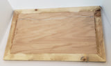Wood Burned Bison Framed Wall Art
