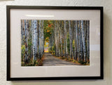 framed print of Aspen Alley, Autumn's First Blush