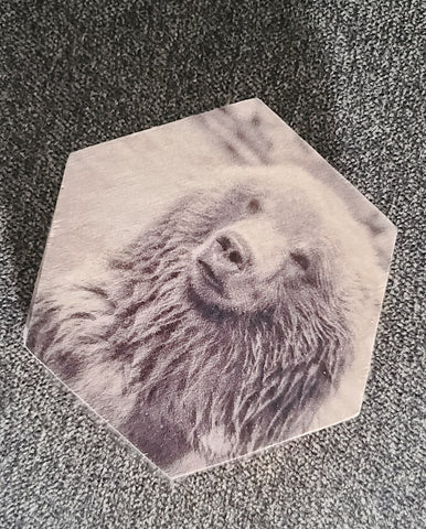 Wooden hexagon with a black and white photo of a grizzly bear head  3.5" hexagon x 1/4" wide  Magnet is inset into the wooden disk