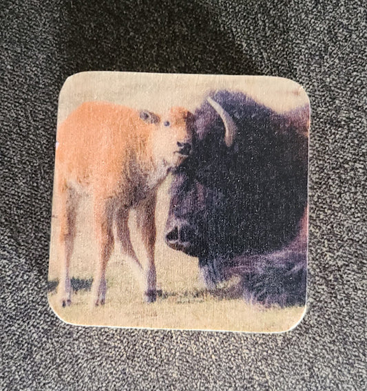 Wooden square with a color photo of a mama bison with her calf snuggling her head  3.5" square x 1/4" wide  Magnet is inset into the wooden disk
