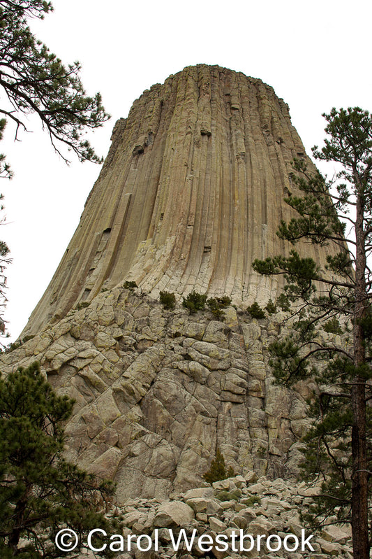 Devils Tower National Monument, viewed from the South, looking up at the base. Photo, 5" x 7" ready for framing.