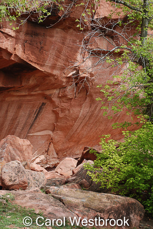 Red Wall at Natural Bridge, Wyoming, 5" x 7" Photo, Wyoming