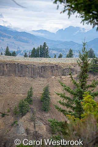 Lava Columns near Calcite Springs, Yellowstone National Park. 5" x 7" Photo ready for mat and frame. Wyoming.