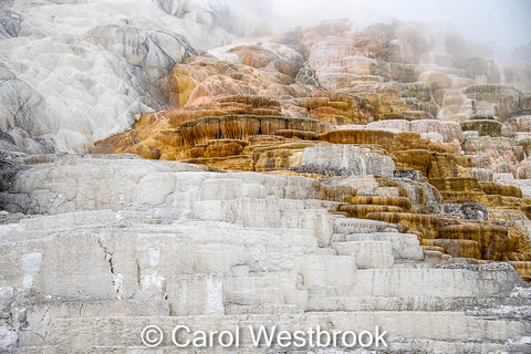 Mammoth Hot Springs, Yellowstone National Park, Wyoming. 5.5" x 7.5" photo ready for framing