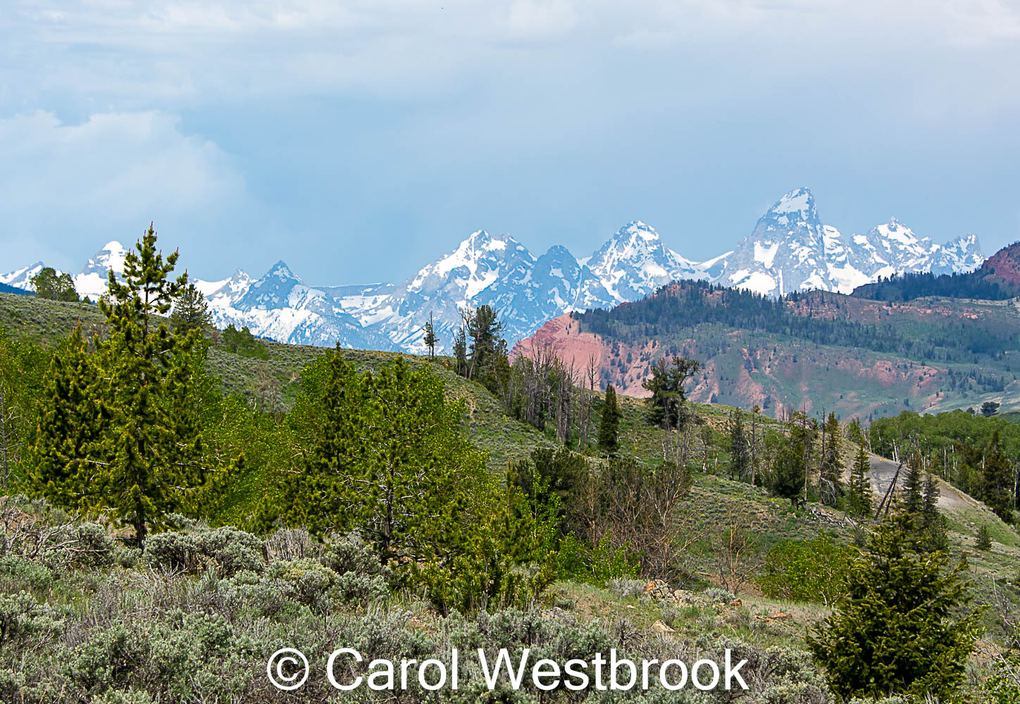 The Teton Mountains from the Gros Ventre, 5" x 7" photo, ready to mat and frame