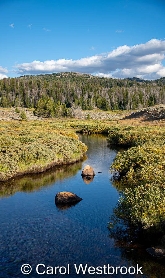 " Creek On Union Pass " Matted Photograph