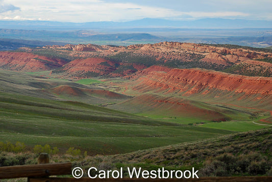 " Red Canyon " Matted Photograph