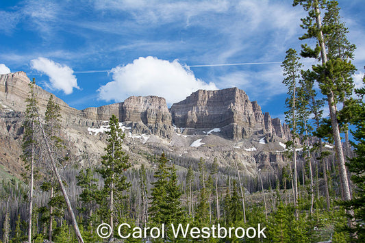 " Contrail " South Fork Of Shoshoni River " Matted Photograph