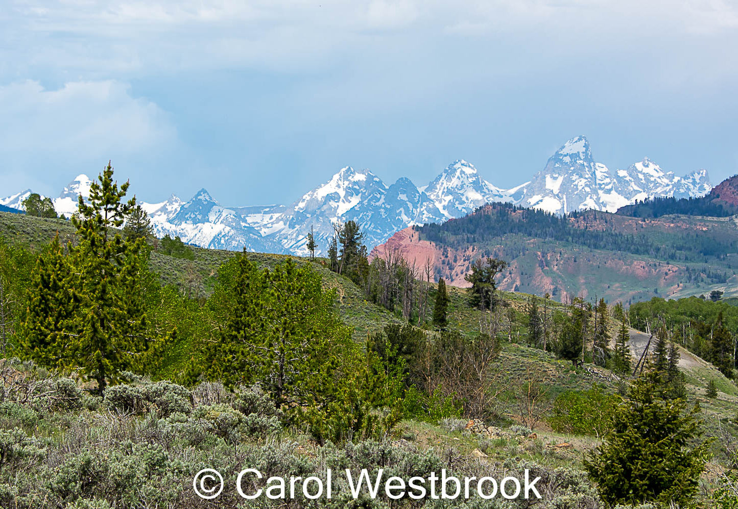 " Tetons From The Gros Ventre " Matted Photograph