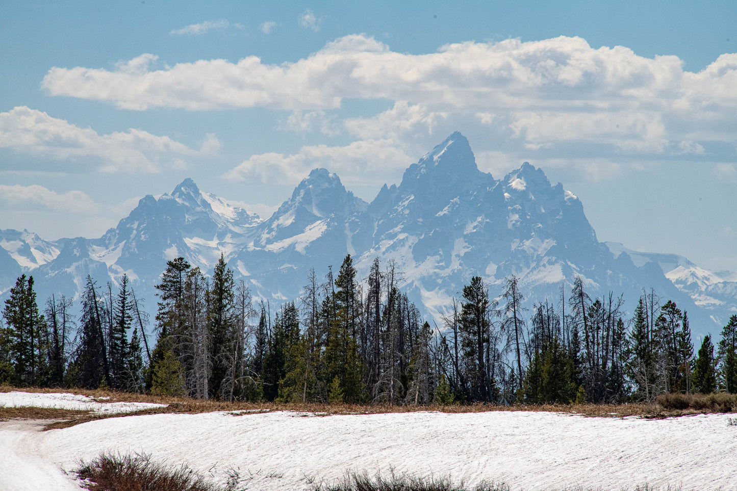 " View Of The Tetons From Togwotee Pass " Matted Photograph
