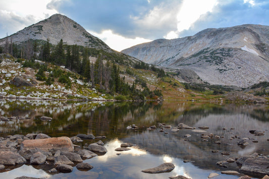 <h1>" Libby Lake With Pine Trees " Matted Photograph</h1> <h2>Photographer: Carol Westbrook</h2> <p>10" x 8" Photograph</p> <p>14" x 11" including the white matting</p> <p>Matting is 2" wide</p> <p>Libby Lake in the Snowy Range Mountains of Wyoming&nbsp;</p> <p>Pine Trees coming down to the water<br></p> <p>Ready for framing</p>