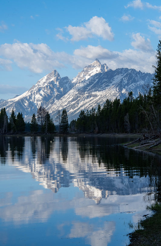 " The Grand From Coulter Bay Visitor Center " Vertical Matted Photograph