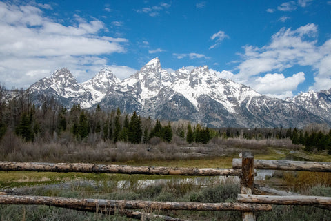 " The Tetons From Schwabacher's Landing " Matted Photograph