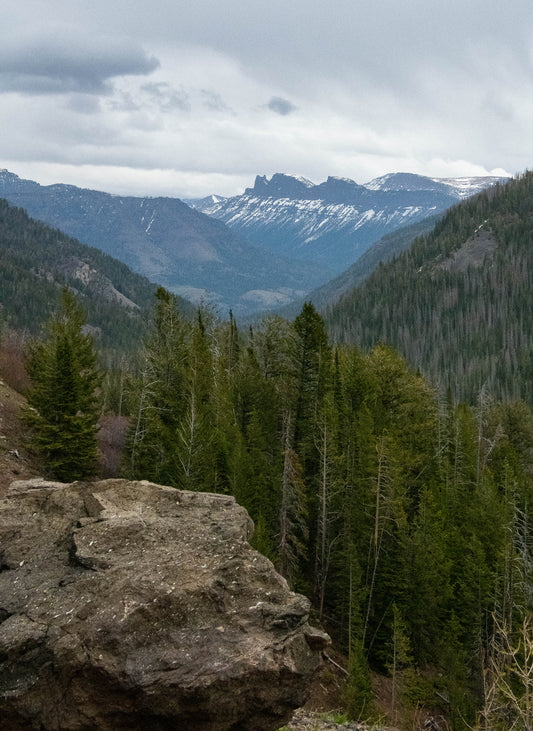 " Sylvan Pass Looking Toward Cody Wyoming " Matted Photograph