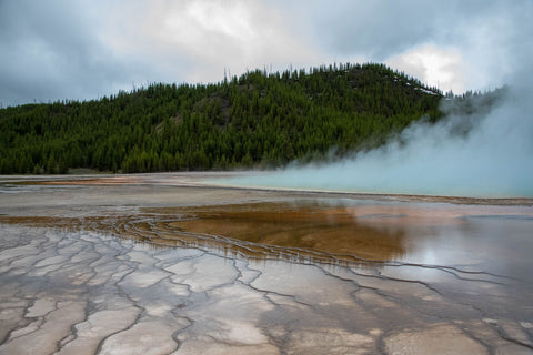 " Mud Flats In Yellowstone National Park " Matted Photograph