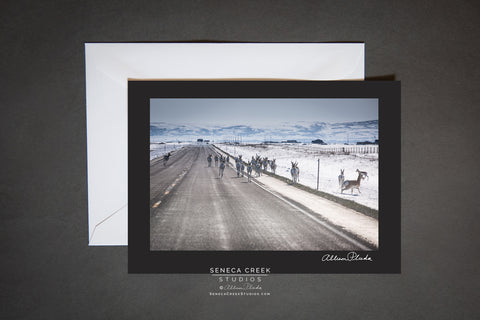 blank card with envelope. pronghorn on the road during winter