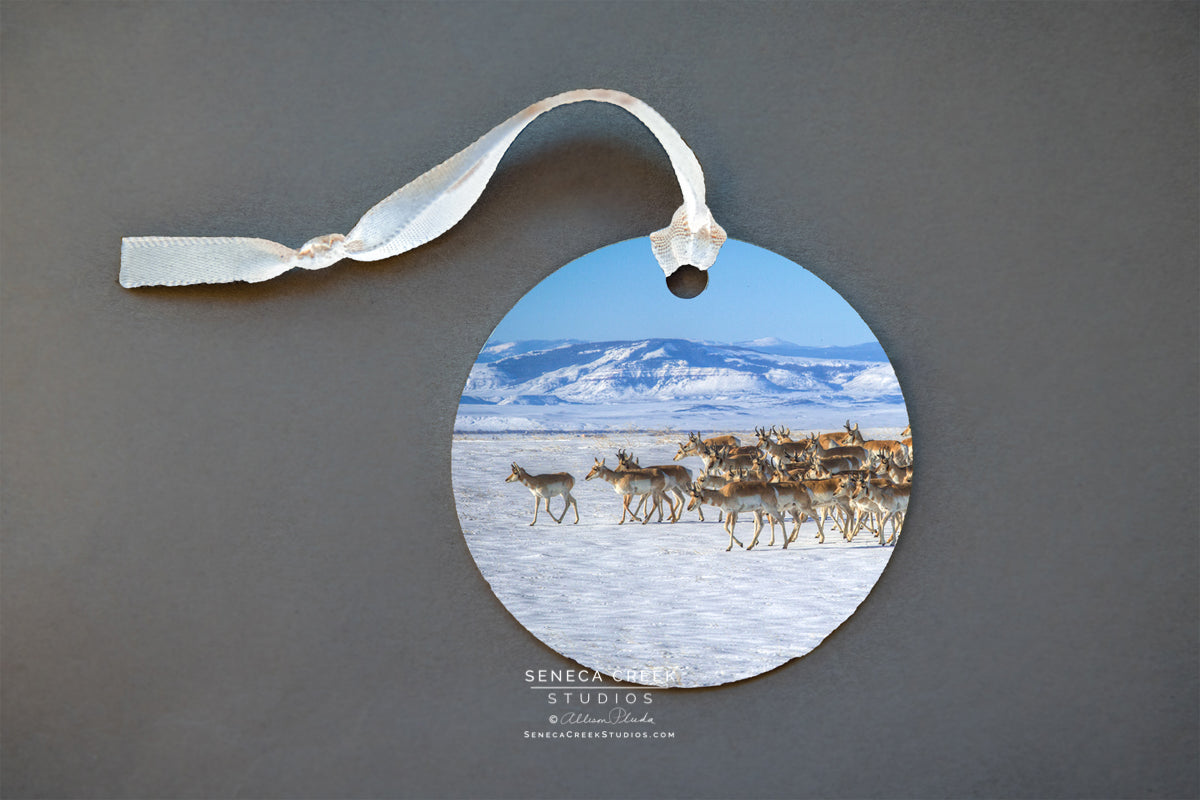 Pronghorn Metal Print Ornament