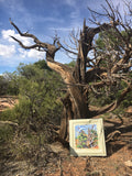 Maren Kallas, original enamel painting on vintage metal ceiling tile and her subject, the weathered, twisted juniper tree against a vivid blue sky