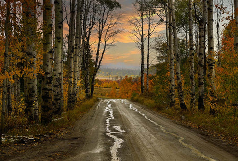 " Tranquility " Aspen Alley Framed Photograph