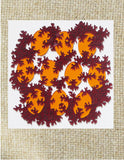 Micro Biology Puzzle Ted Edeen, Puzzle Maker Multi colored acrylic pieces Total puzzle size 6" x 6" x 1/8" Red, orange puzzle pieces 2 sided 2D pieces In nice clear case Please note, the puzzle is custom designed by the Artist , with a slight variation between each piece