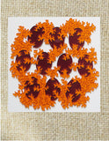 Micro Biology Puzzle Ted Edeen, Puzzle Maker Multi colored acrylic pieces Total puzzle size 6" x 6" x 1/8" Red, orange puzzle pieces 2 sided 2D pieces In nice clear case Please note, the puzzle is custom designed by the Artist , with a slight variation between each piece