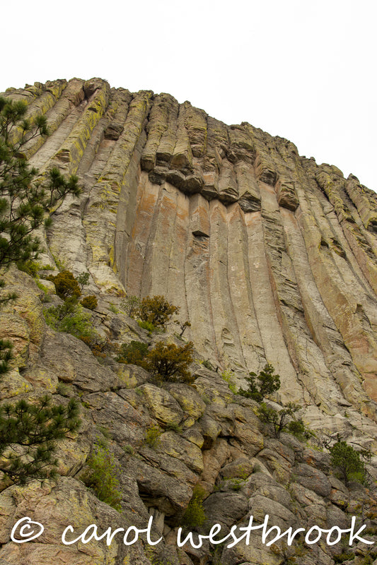 Devil's Tower Metal Photo