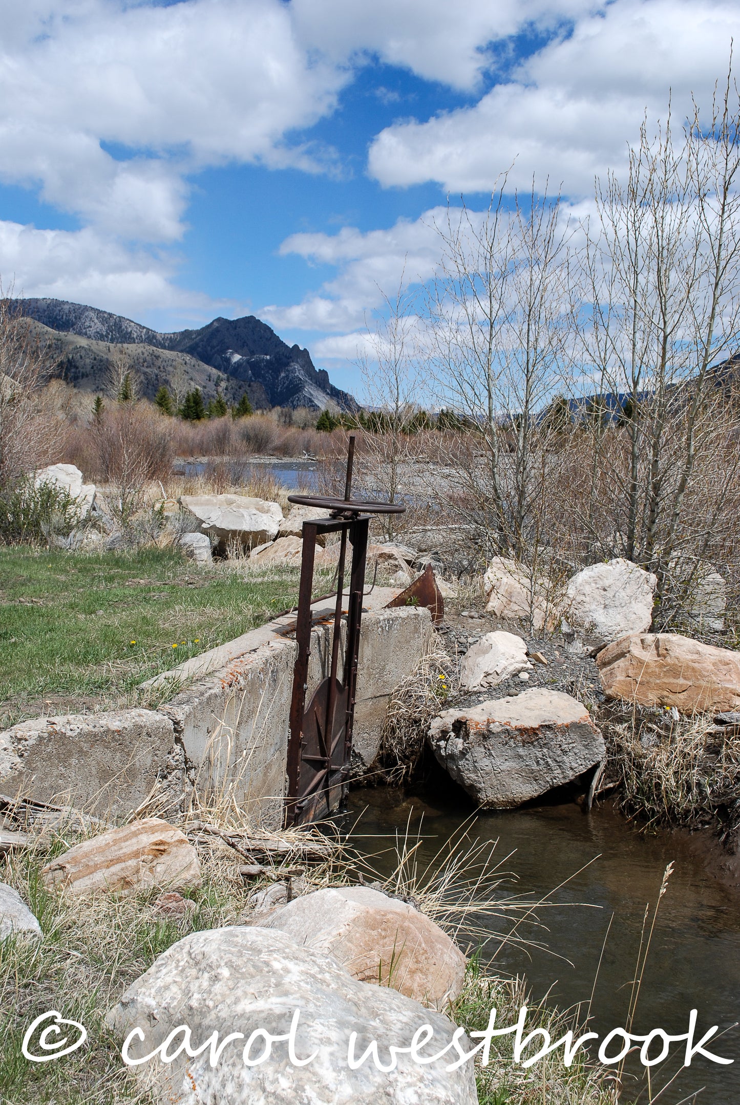 Headgate on irrigation ditch on Sunlight Creek, Wyoming 5 x 7 photo